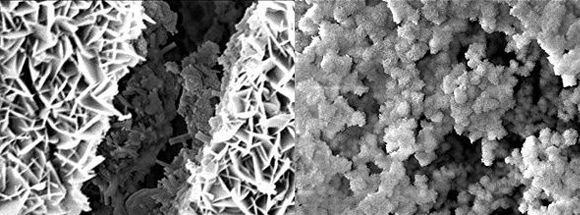 BacillaFilla: Бактерии помогают бороться с трещинами в бетоне