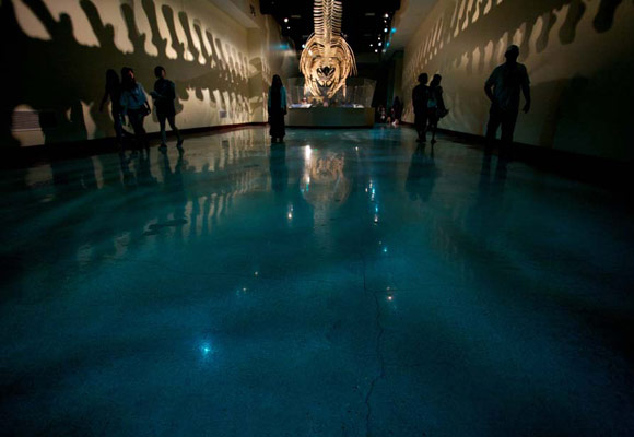 Полированный бетонный пол в Национальном историческом музее Лос-Анжелеса